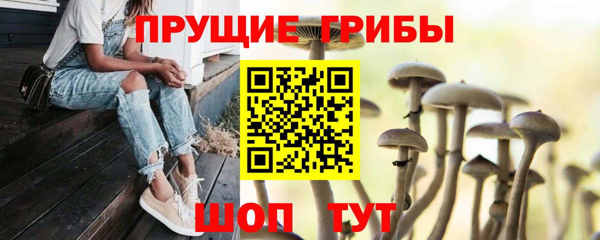 Минеральные Воды  Псилоцибиновые грибы ЛСД  Вход с VPN 